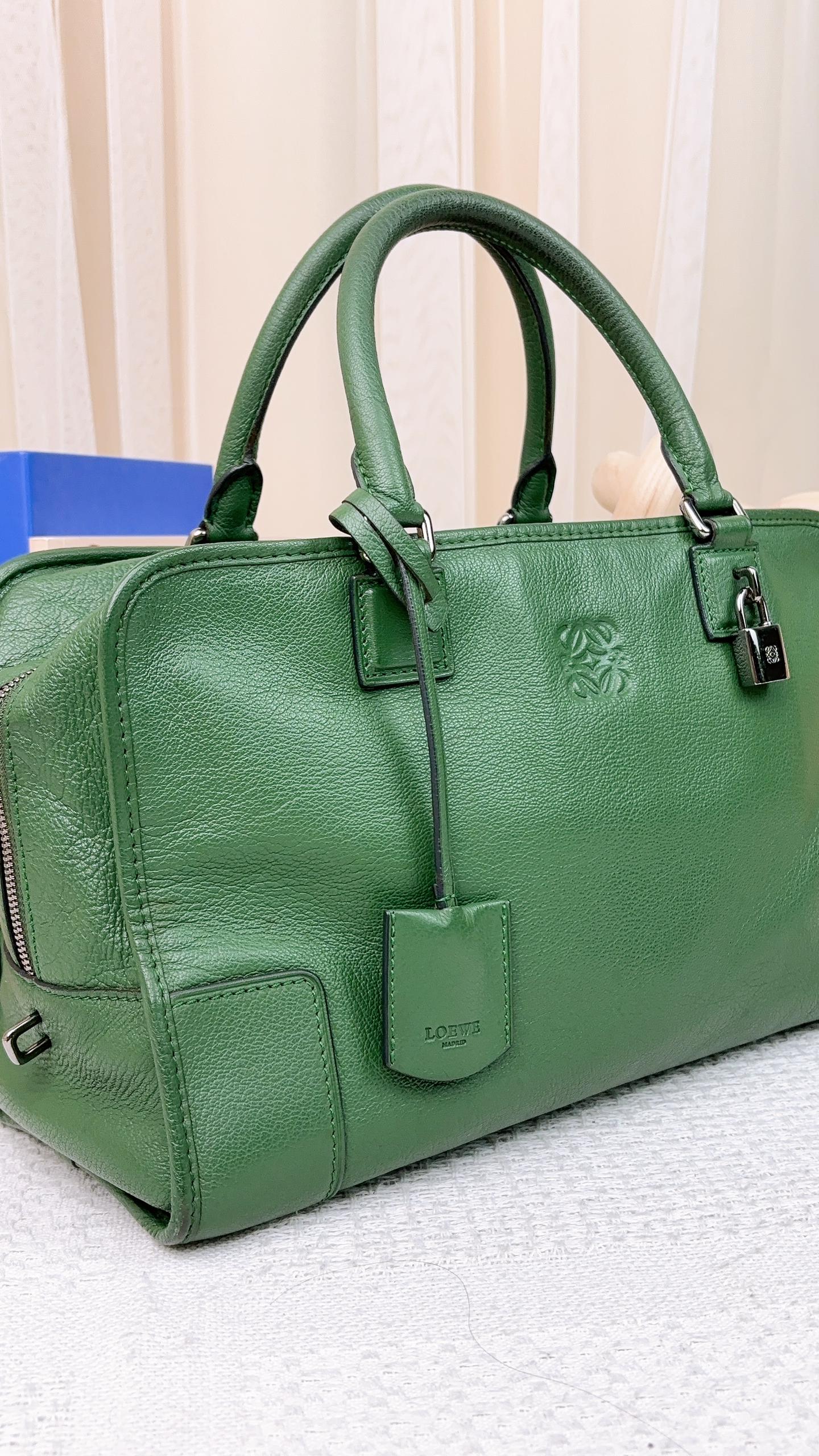 Loewe Green Calfskin Amazona 36 Bag