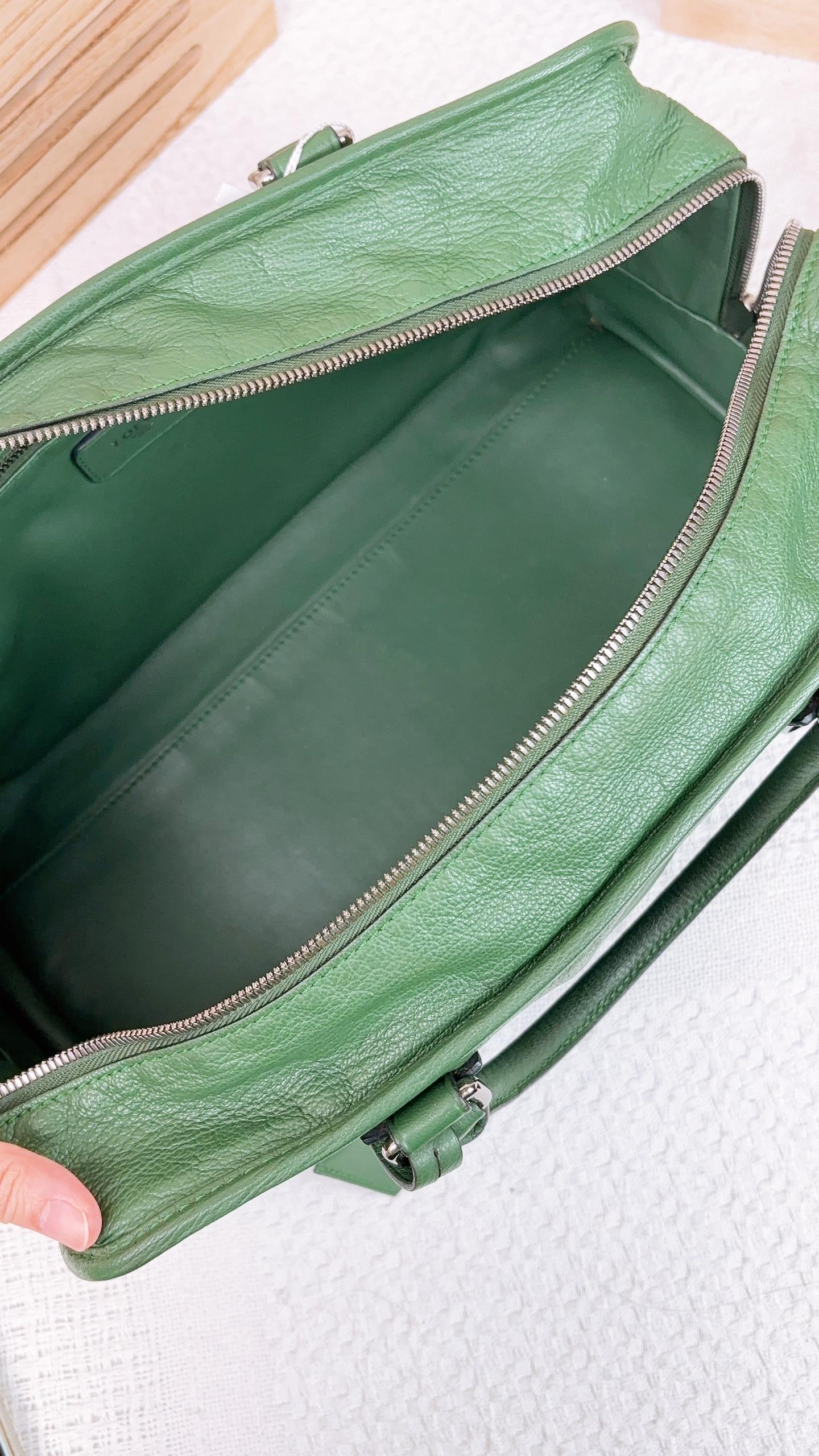 Loewe Green Calfskin Amazona 36 Bag