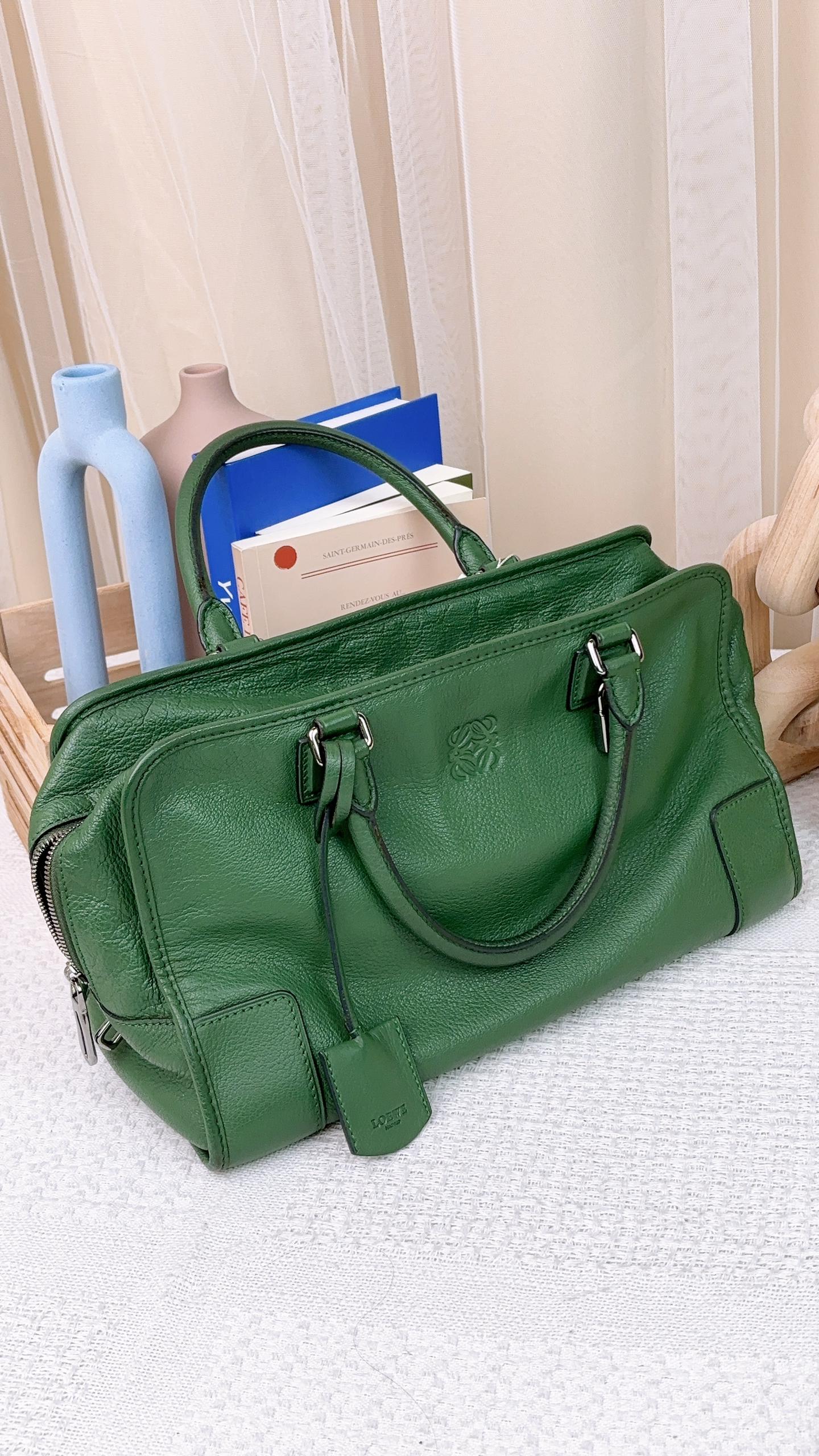 Loewe Green Calfskin Amazona 36 Bag