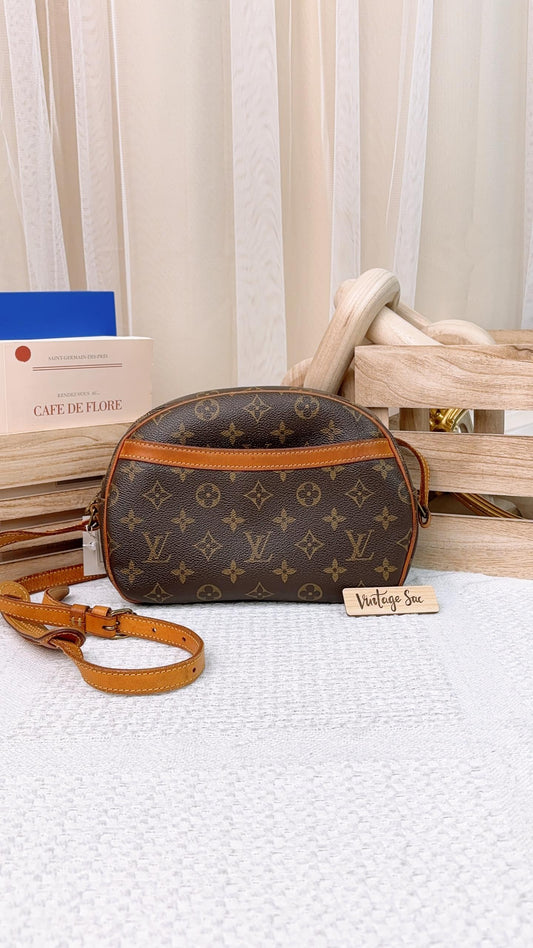 LV Monogram Blois Bag