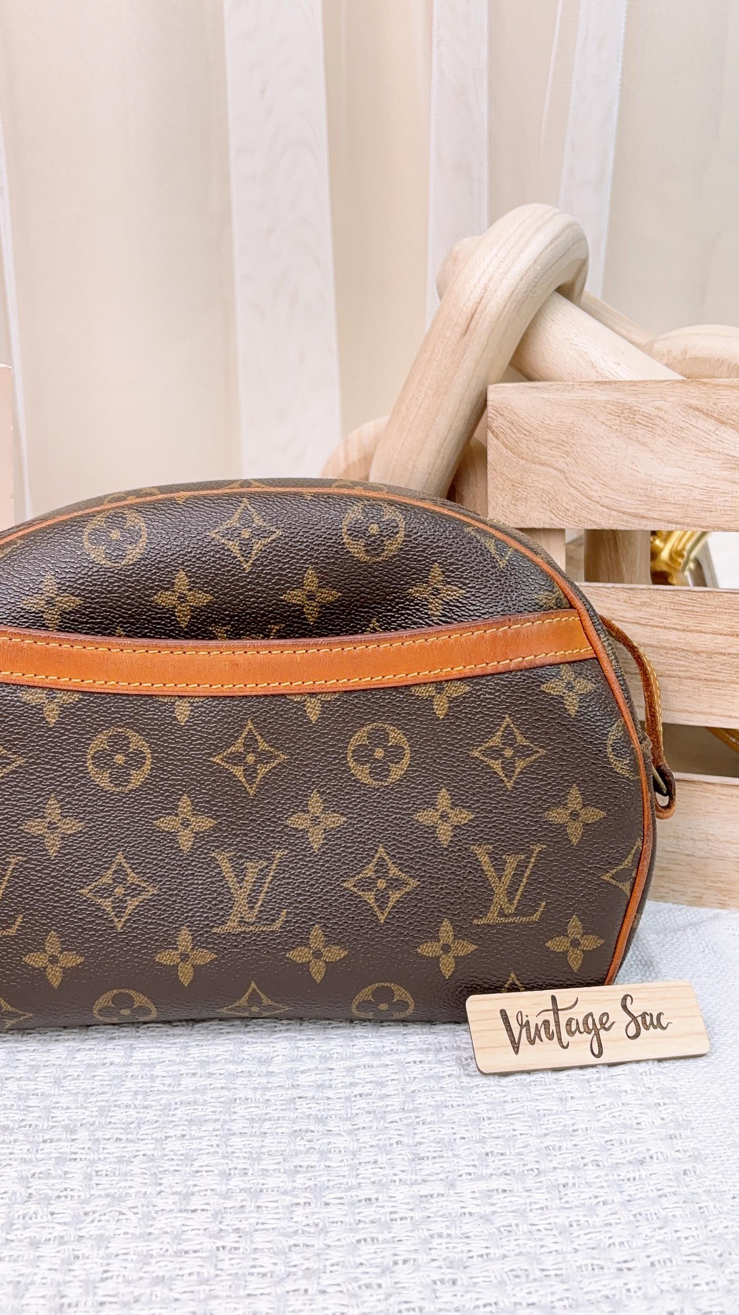 LV Monogram Blois Bag