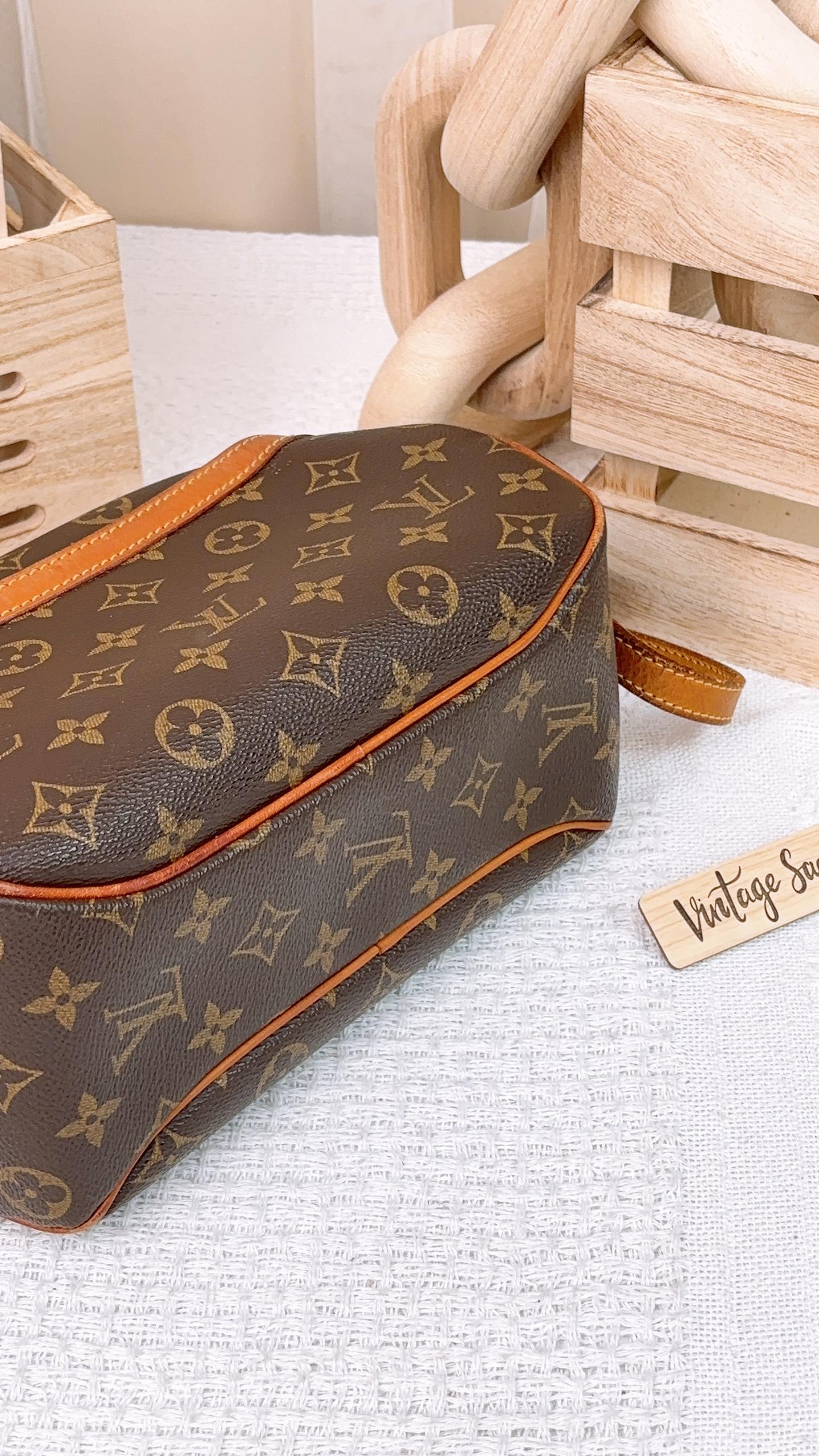 LV Monogram Blois Bag