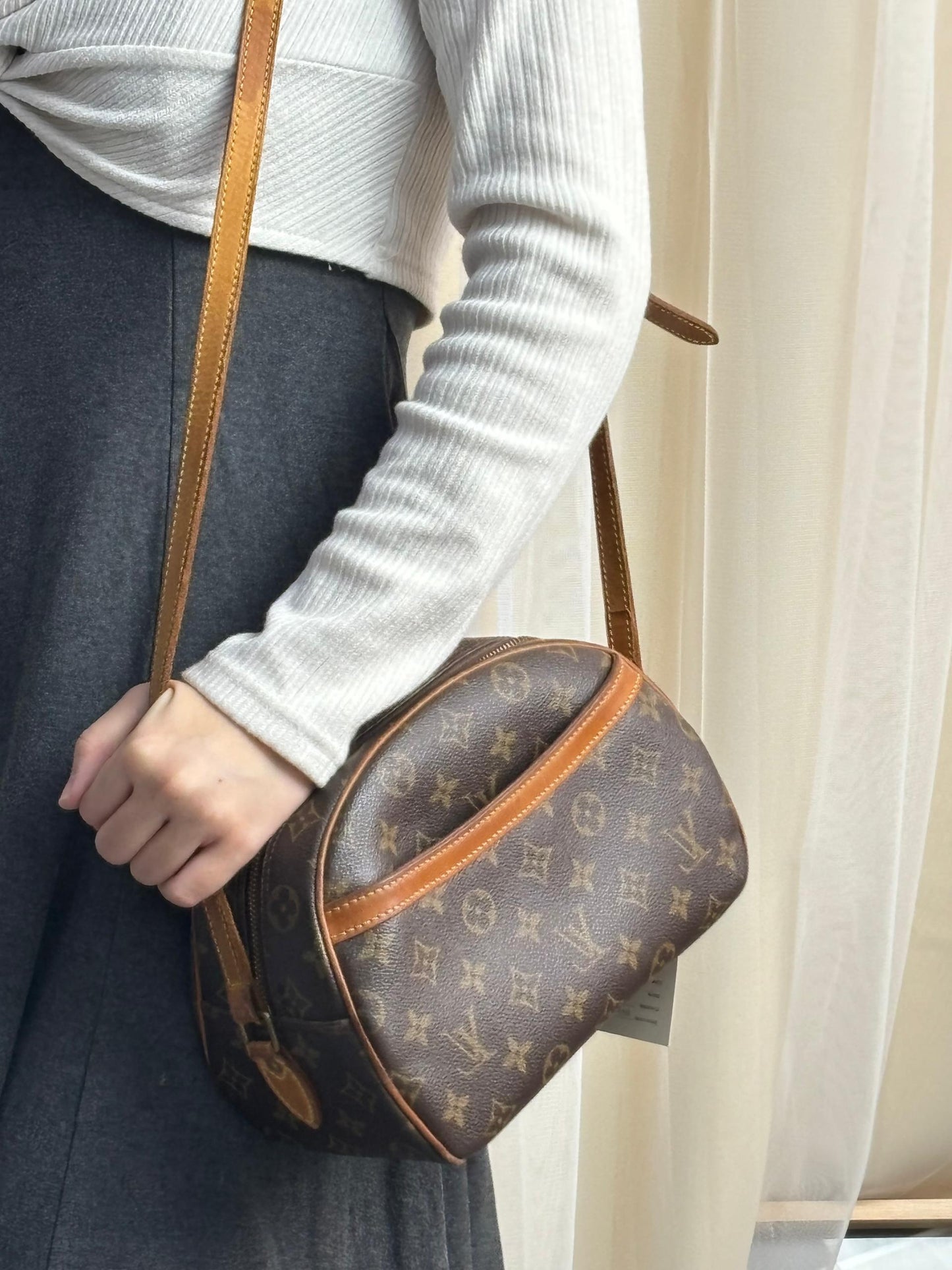 LV Monogram Blois Bag